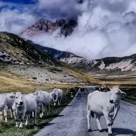 Casa Manetta * Calascio