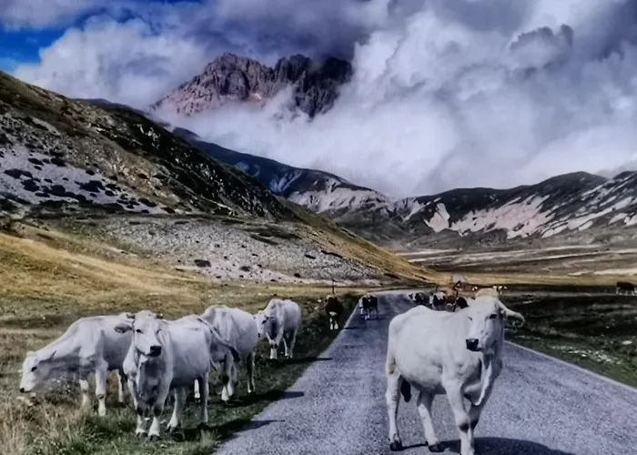 Casa Manetta * Calascio